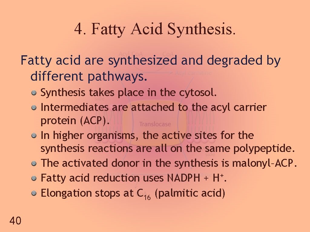 4. Fatty Acid Synthesis. Fatty acid are synthesized and degraded by different pathways. Synthesis