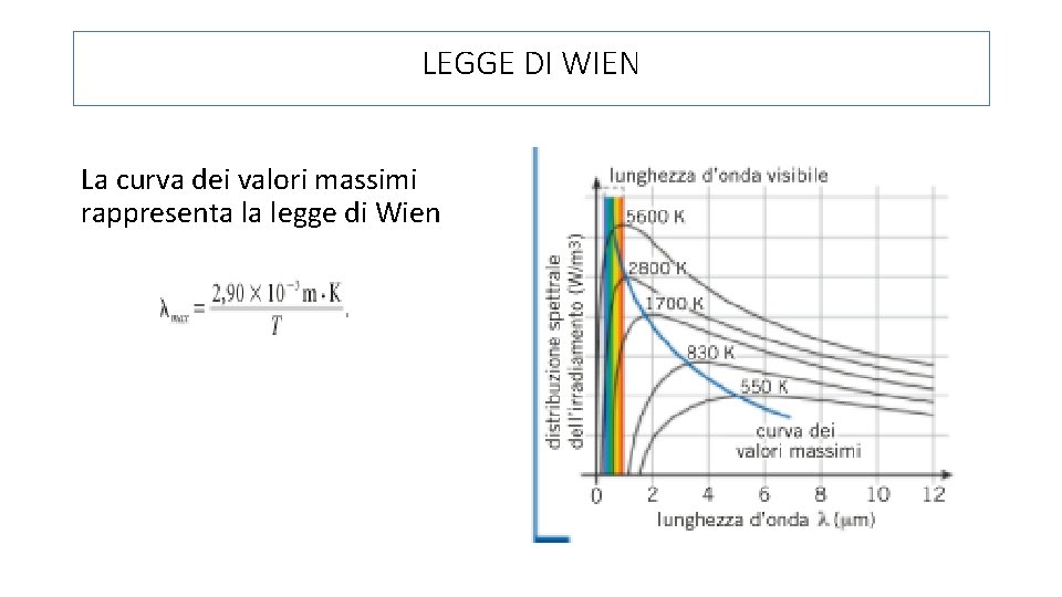 LEGGE DI WIEN La curva dei valori massimi rappresenta la legge di Wien 
