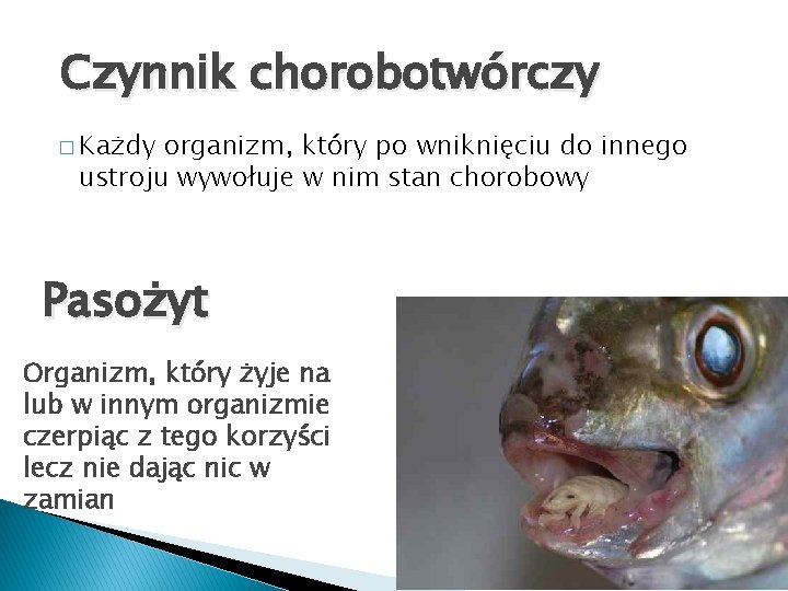 Czynnik chorobotwórczy � Każdy organizm, który po wniknięciu do innego ustroju wywołuje w nim