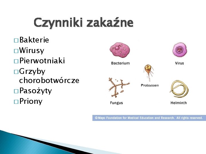 Czynniki zakaźne � Bakterie � Wirusy � Pierwotniaki � Grzyby chorobotwórcze � Pasożyty �
