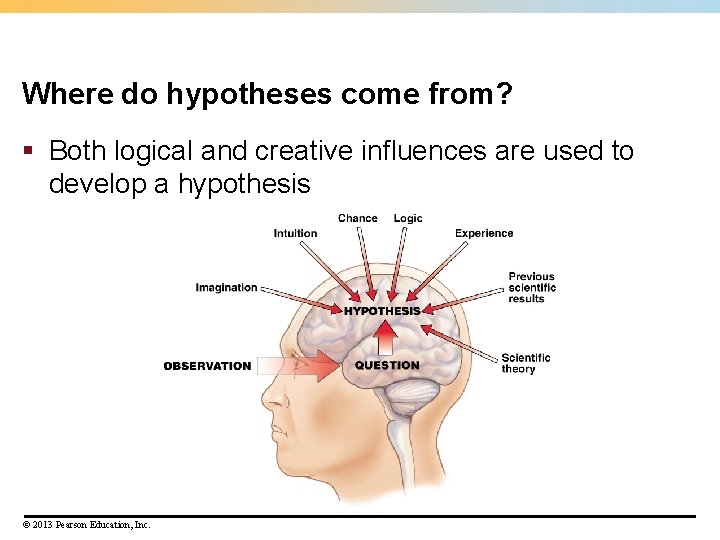 Where do hypotheses come from? § Both logical and creative influences are used to