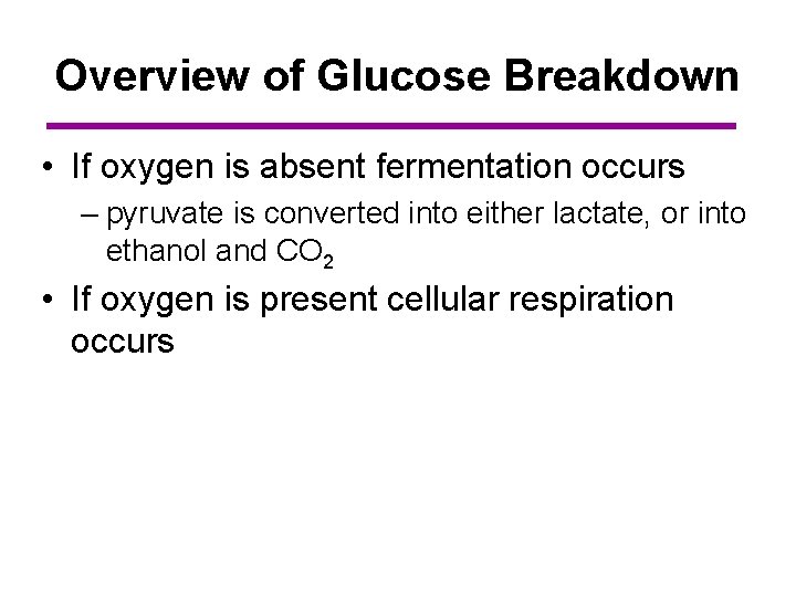 Overview of Glucose Breakdown • If oxygen is absent fermentation occurs – pyruvate is