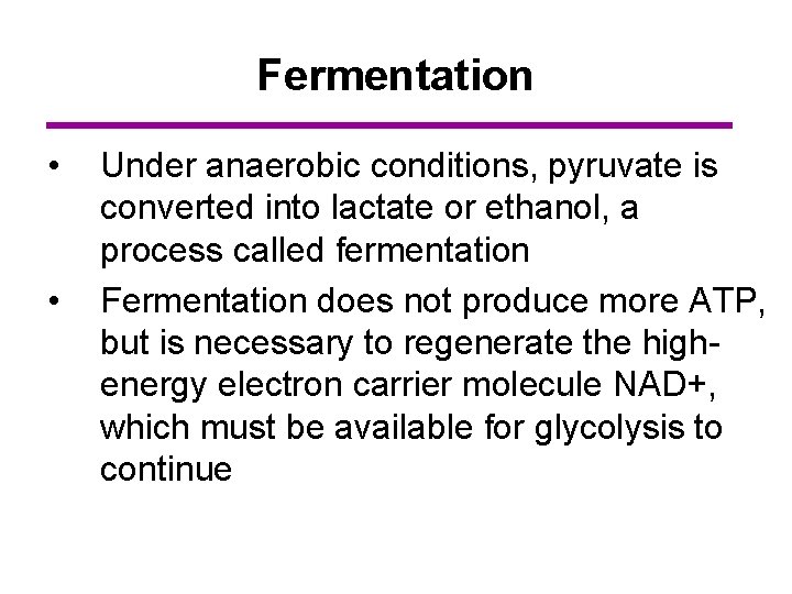 Fermentation • • Under anaerobic conditions, pyruvate is converted into lactate or ethanol, a