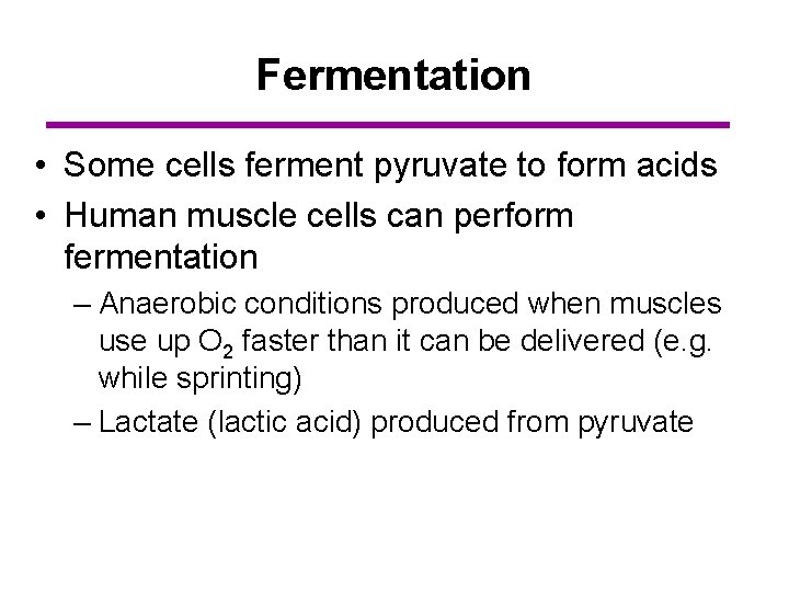 Fermentation • Some cells ferment pyruvate to form acids • Human muscle cells can