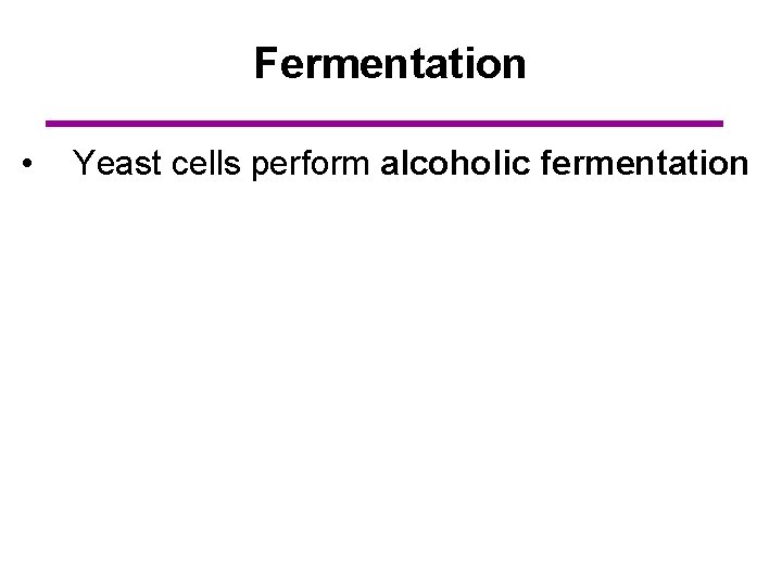 Fermentation • Yeast cells perform alcoholic fermentation 