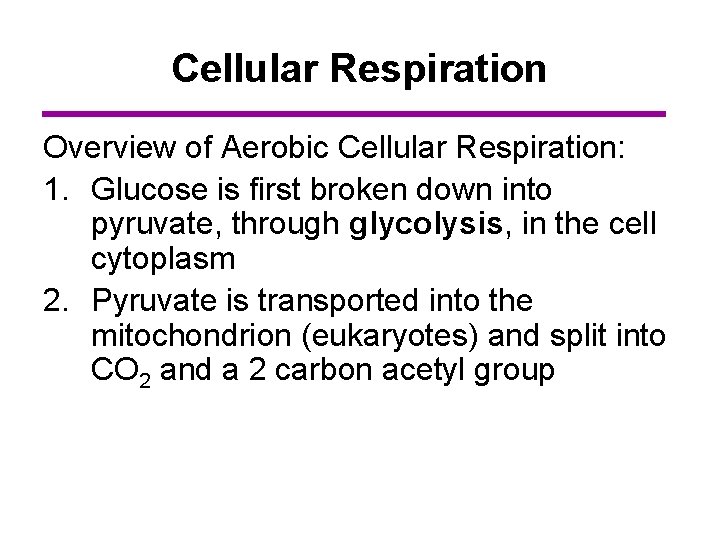 Cellular Respiration Overview of Aerobic Cellular Respiration: 1. Glucose is first broken down into