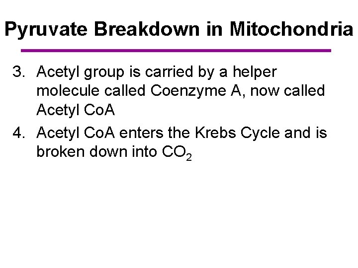Pyruvate Breakdown in Mitochondria 3. Acetyl group is carried by a helper molecule called