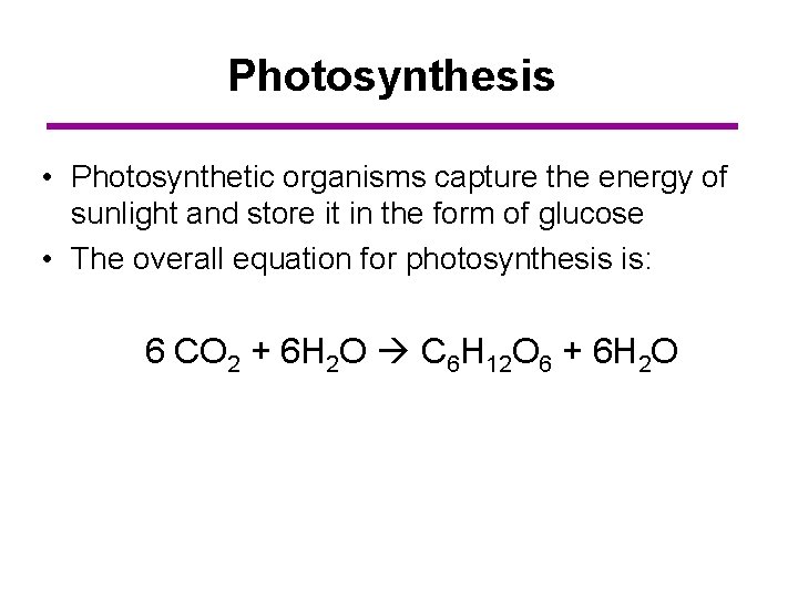 Photosynthesis • Photosynthetic organisms capture the energy of sunlight and store it in the