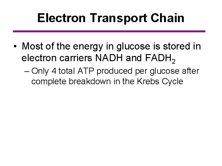 Electron Transport Chain • Most of the energy in glucose is stored in electron
