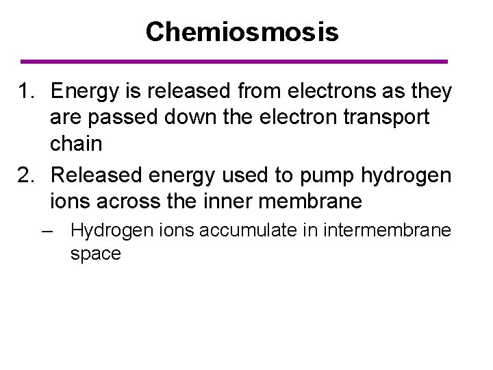 Chemiosmosis 1. Energy is released from electrons as they are passed down the electron