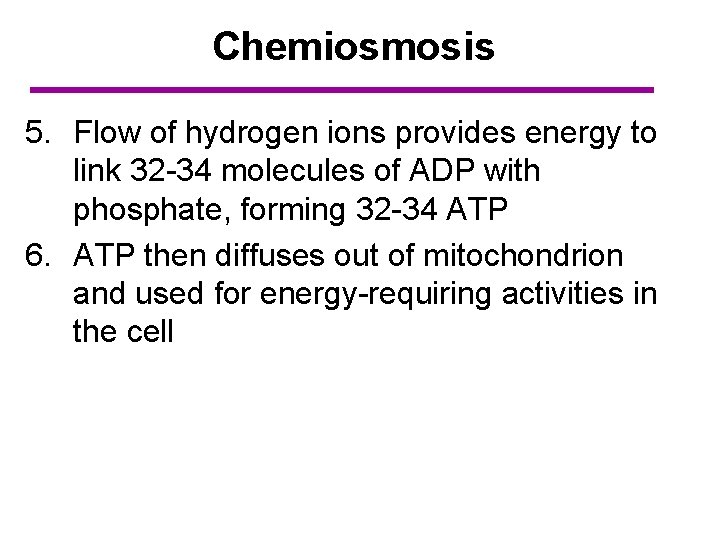 Chemiosmosis 5. Flow of hydrogen ions provides energy to link 32 -34 molecules of