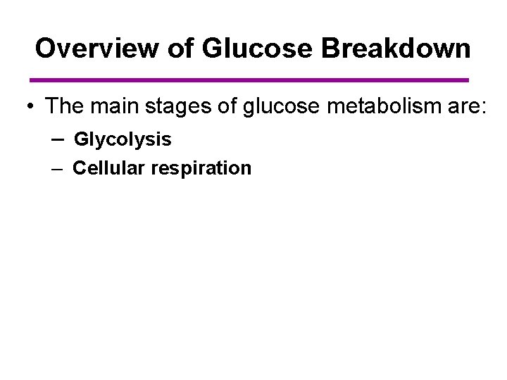 Overview of Glucose Breakdown • The main stages of glucose metabolism are: – Glycolysis