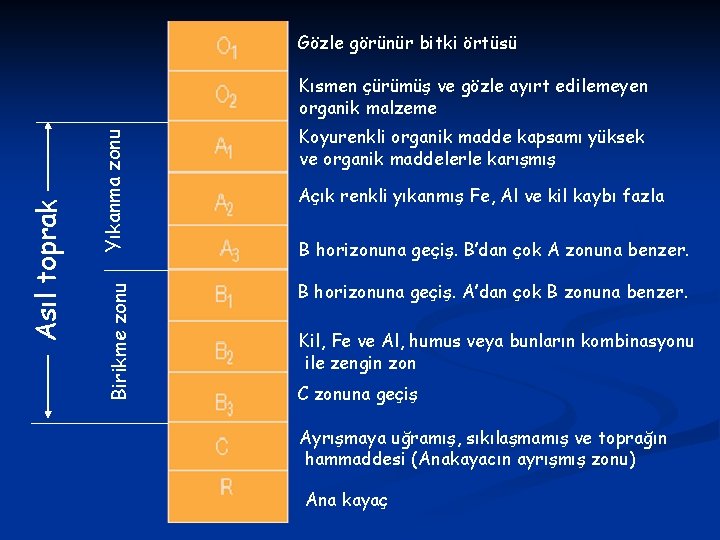 Gözle görünür bitki örtüsü Yıkanma zonu Birikme zonu Asıl toprak Kısmen çürümüş ve gözle