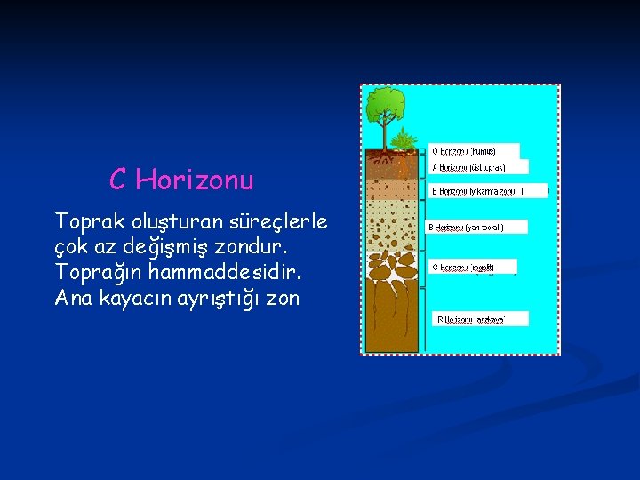 C Horizonu Toprak oluşturan süreçlerle çok az değişmiş zondur. Toprağın hammaddesidir. Ana kayacın ayrıştığı
