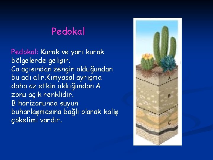 Pedokal: Kurak ve yarı kurak bölgelerde gelişir. Ca açısından zengin olduğundan bu adı alır.