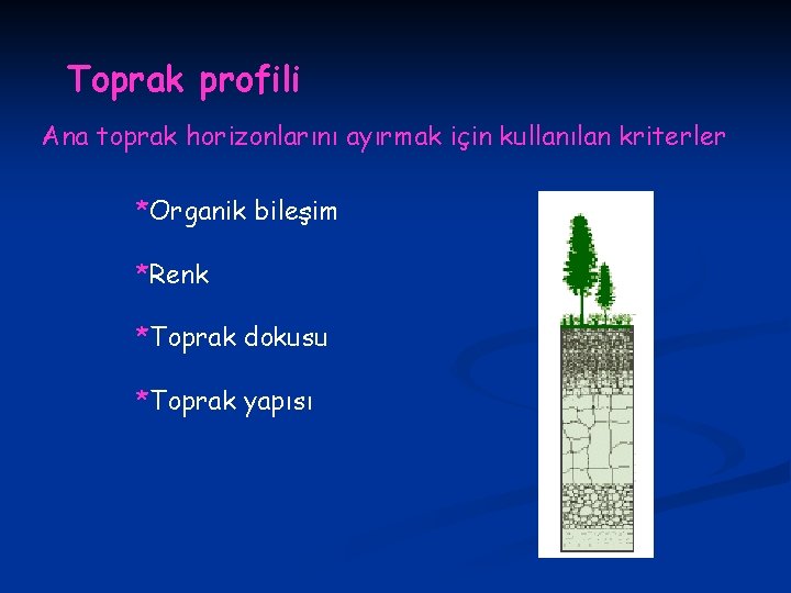 Toprak profili Ana toprak horizonlarını ayırmak için kullanılan kriterler *Organik bileşim *Renk *Toprak dokusu