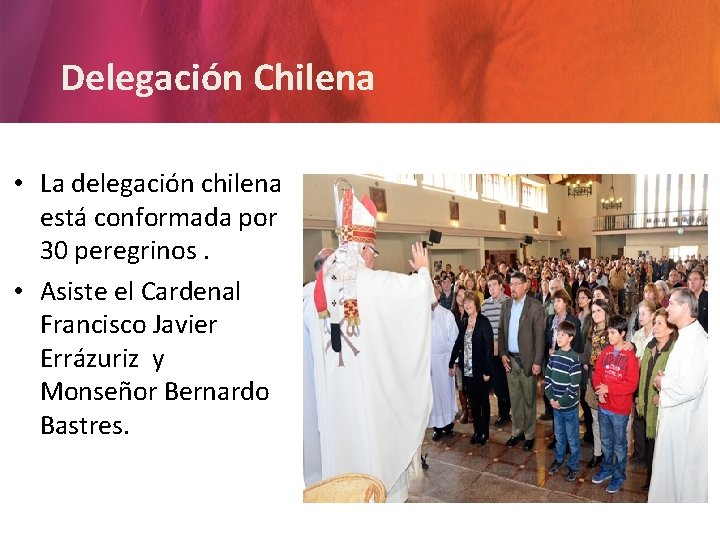 Delegación Chilena • La delegación chilena está conformada por 30 peregrinos. • Asiste el