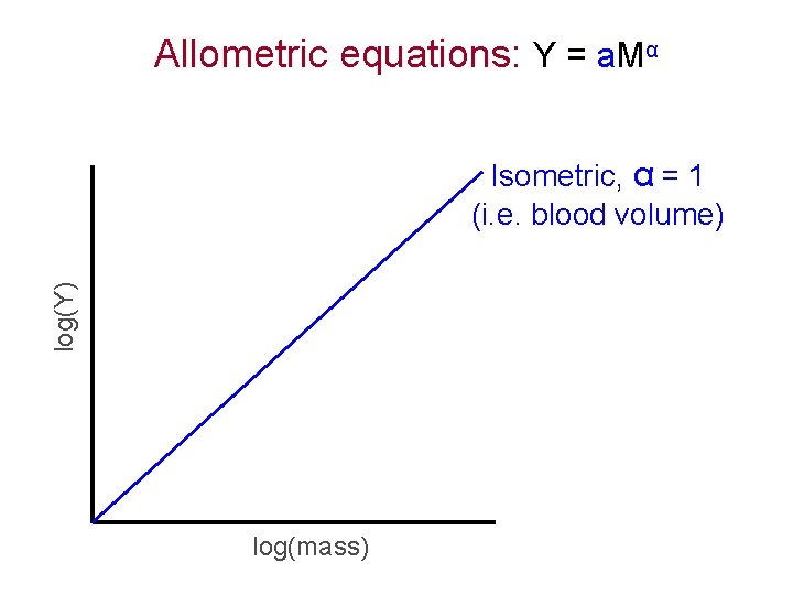 Allometric equations: Y = a. Mα log(Y) Isometric, α = 1 (i. e. blood
