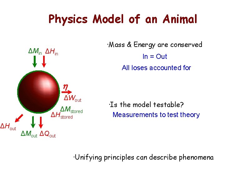 ΔHout Physics Model of an Animal ·Mass & Energy are conserved ΔMin ΔHin In