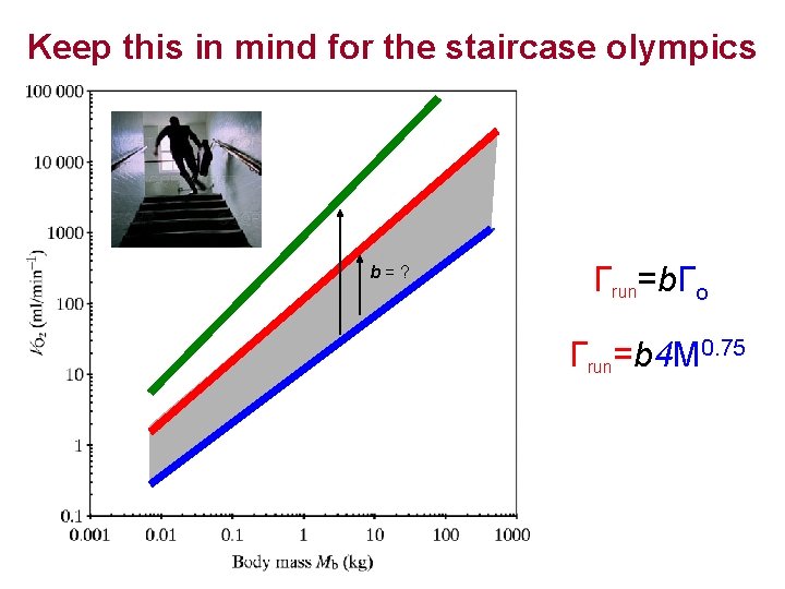 Keep this in mind for the staircase olympics bb b=? Гrun=b. Гo Гrun=b 4