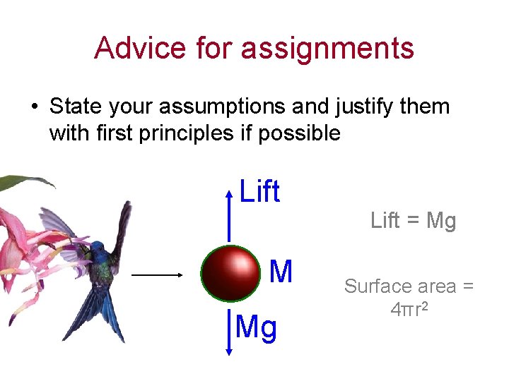 Advice for assignments • State your assumptions and justify them with first principles if