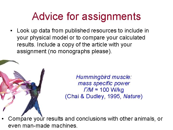 Advice for assignments • Look up data from published resources to include in your