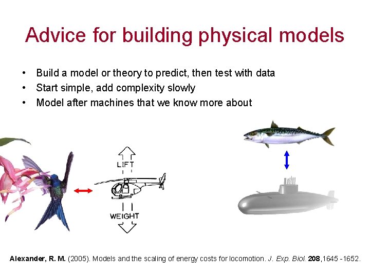 Advice for building physical models • Build a model or theory to predict, then