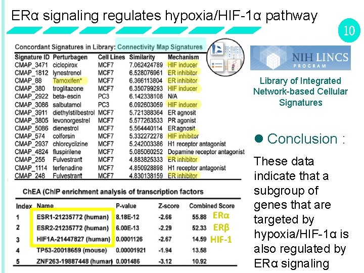 ERα signaling regulates hypoxia/HIF-1α pathway 10 Library of Integrated Network-based Cellular Signatures l Conclusion