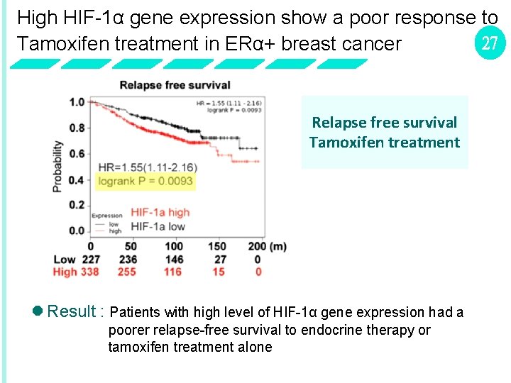 High HIF-1α gene expression show a poor response to 27 Tamoxifen treatment in ERα+