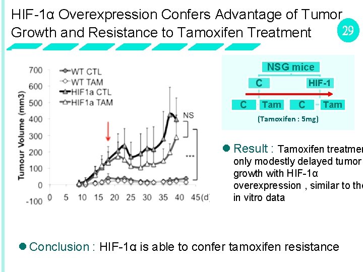 HIF-1α Overexpression Confers Advantage of Tumor 29 Growth and Resistance to Tamoxifen Treatment NSG