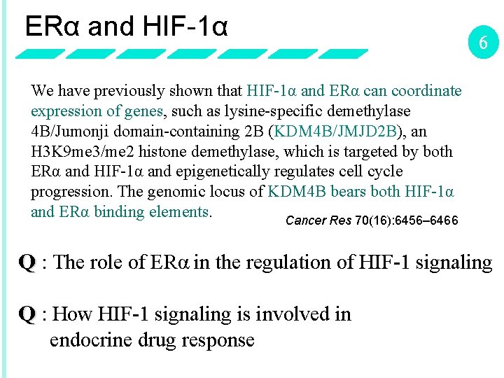 ERα and HIF-1α 6 We have previously shown that HIF-1α and ERα can coordinate