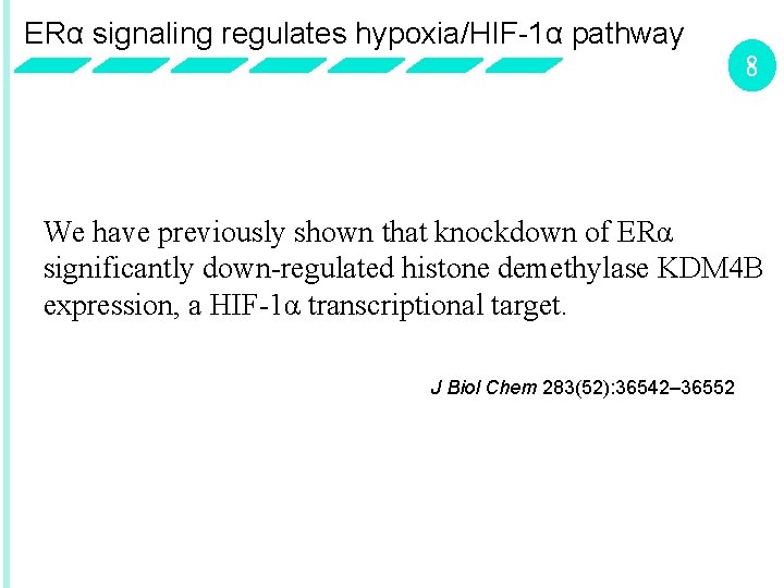 ERα signaling regulates hypoxia/HIF-1α pathway 8 We have previously shown that knockdown of ERα