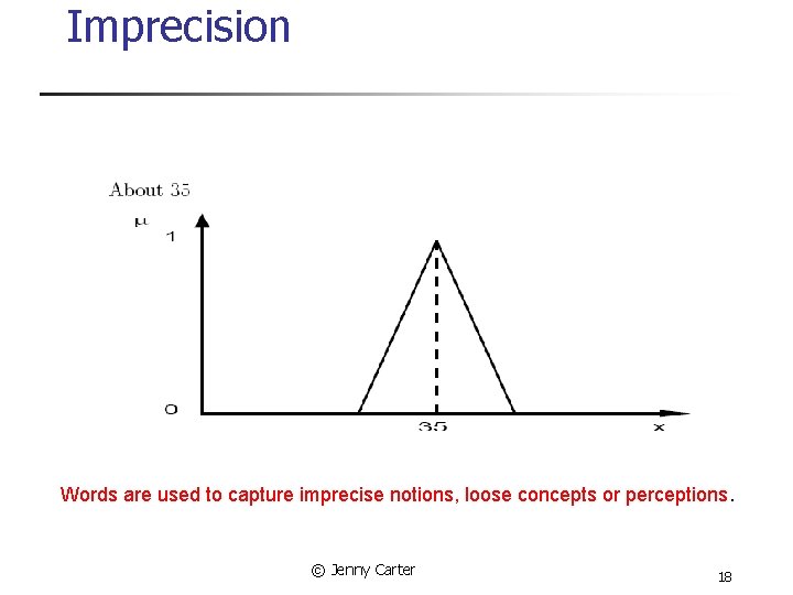 Imprecision Words are used to capture imprecise notions, loose concepts or perceptions. © Jenny