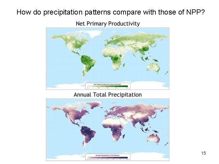 How do precipitation patterns compare with those of NPP? 15 How do precipitation patterns compare with those of NPP? 15