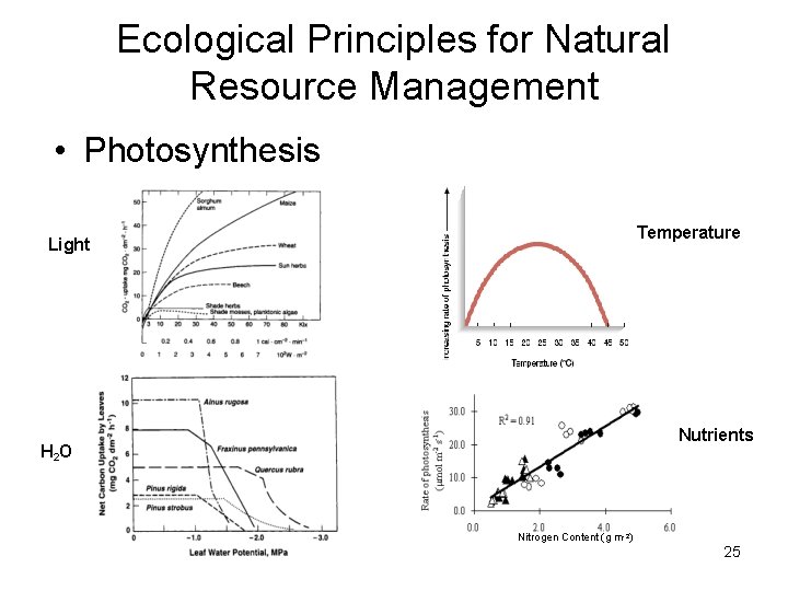 Ecological Principles for Natural Resource Management • Photosynthesis Temperature Light Nutrients H 2 O Ecological Principles for Natural Resource Management • Photosynthesis Temperature Light Nutrients H 2 O