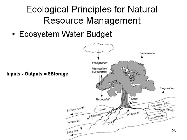 Ecological Principles for Natural Resource Management • Ecosystem Water Budget Inputs - Outputs = Ecological Principles for Natural Resource Management • Ecosystem Water Budget Inputs - Outputs =