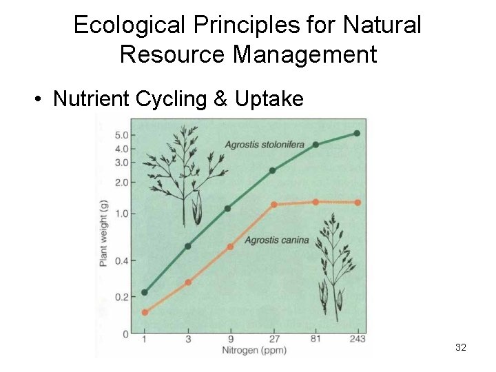 Ecological Principles for Natural Resource Management • Nutrient Cycling & Uptake 32 Ecological Principles for Natural Resource Management • Nutrient Cycling & Uptake 32