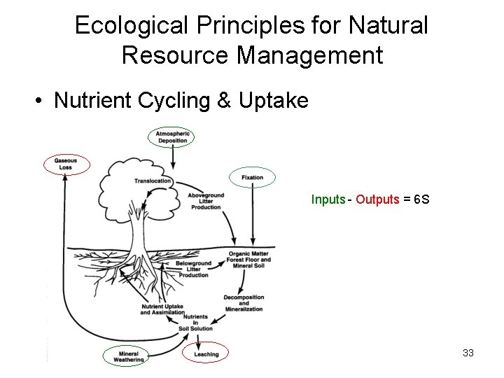 Ecological Principles for Natural Resource Management • Nutrient Cycling & Uptake Inputs - Outputs Ecological Principles for Natural Resource Management • Nutrient Cycling & Uptake Inputs - Outputs