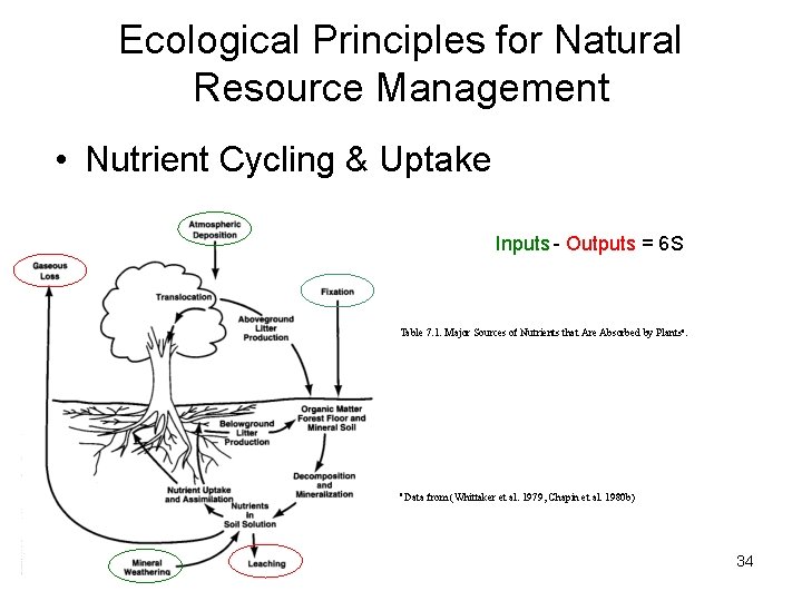 Ecological Principles for Natural Resource Management • Nutrient Cycling & Uptake Inputs - Outputs Ecological Principles for Natural Resource Management • Nutrient Cycling & Uptake Inputs - Outputs