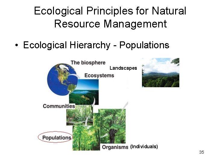 Ecological Principles for Natural Resource Management • Ecological Hierarchy - Populations Landscapes (Individuals) 35 Ecological Principles for Natural Resource Management • Ecological Hierarchy - Populations Landscapes (Individuals) 35