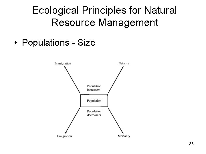 Ecological Principles for Natural Resource Management • Populations - Size 36 Ecological Principles for Natural Resource Management • Populations - Size 36
