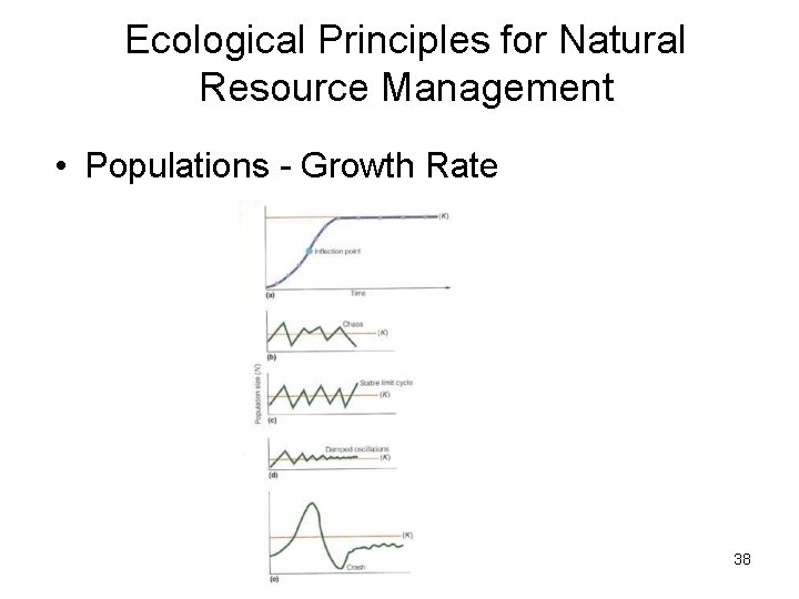 Ecological Principles for Natural Resource Management • Populations - Growth Rate 38 Ecological Principles for Natural Resource Management • Populations - Growth Rate 38