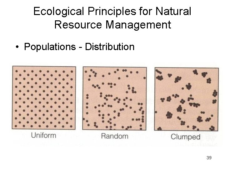 Ecological Principles for Natural Resource Management • Populations - Distribution 39 Ecological Principles for Natural Resource Management • Populations - Distribution 39