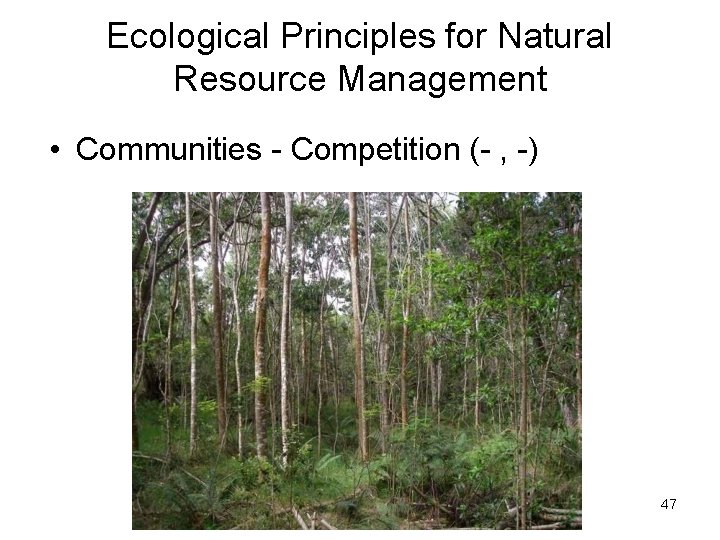 Ecological Principles for Natural Resource Management • Communities - Competition (- , -) 47 Ecological Principles for Natural Resource Management • Communities - Competition (- , -) 47
