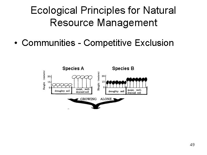 Ecological Principles for Natural Resource Management • Communities - Competitive Exclusion Species A Species Ecological Principles for Natural Resource Management • Communities - Competitive Exclusion Species A Species