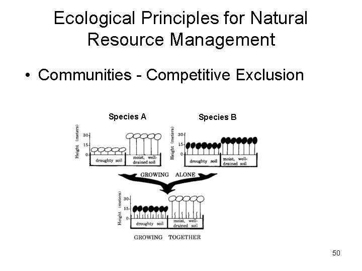 Ecological Principles for Natural Resource Management • Communities - Competitive Exclusion Species A Species Ecological Principles for Natural Resource Management • Communities - Competitive Exclusion Species A Species