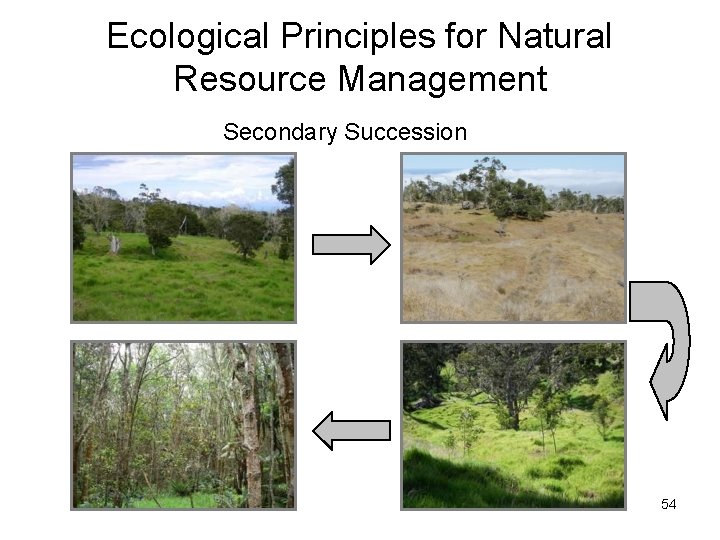 Ecological Principles for Natural Resource Management Secondary Succession 54 Ecological Principles for Natural Resource Management Secondary Succession 54