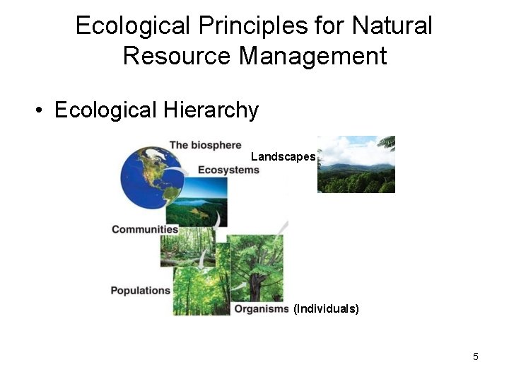 Ecological Principles for Natural Resource Management • Ecological Hierarchy Landscapes (Individuals) 5 Ecological Principles for Natural Resource Management • Ecological Hierarchy Landscapes (Individuals) 5