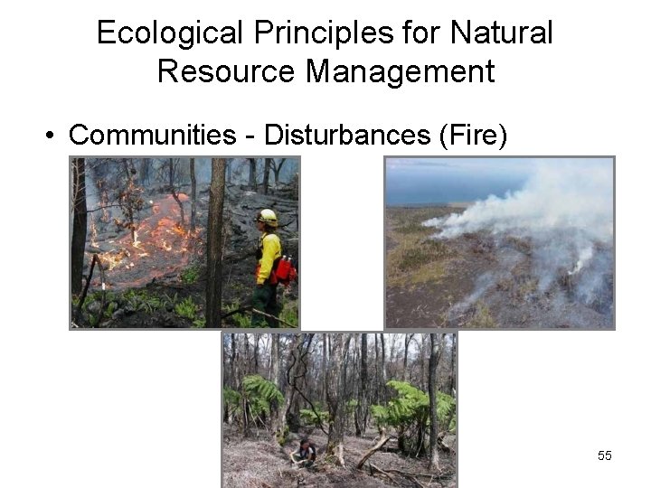 Ecological Principles for Natural Resource Management • Communities - Disturbances (Fire) 55 Ecological Principles for Natural Resource Management • Communities - Disturbances (Fire) 55