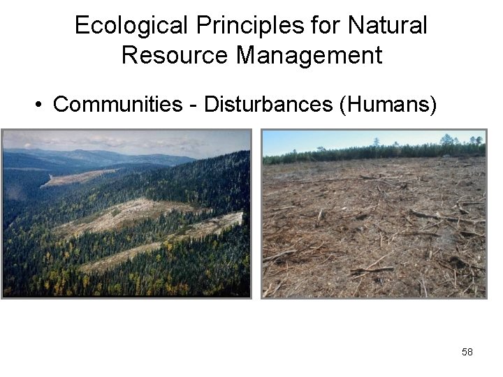 Ecological Principles for Natural Resource Management • Communities - Disturbances (Humans) 58 Ecological Principles for Natural Resource Management • Communities - Disturbances (Humans) 58